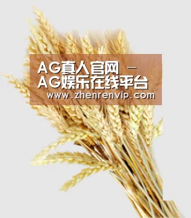 AG真人官网 - AG娱乐在线平台入口