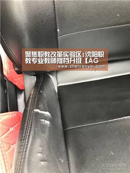 聚焦职教改革实验区:沈阳职教专业教师提档升级【AG官网】(图2) AG入口