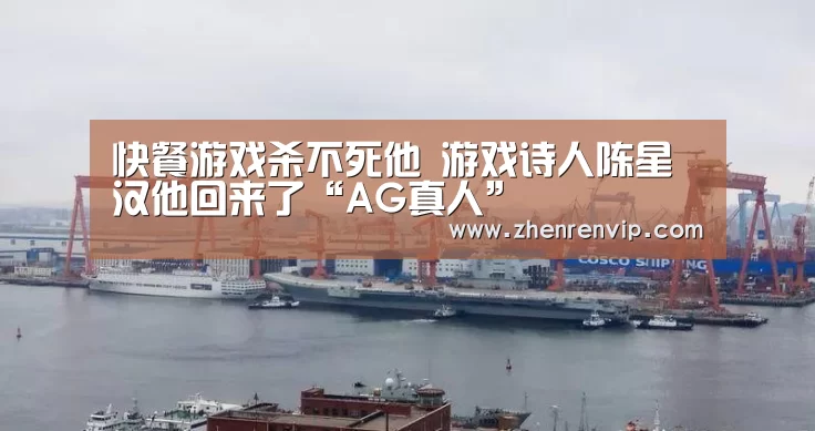 快餐游戏杀不死他 游戏诗人陈星汉他回来了“AG真人”(图1) AG官网