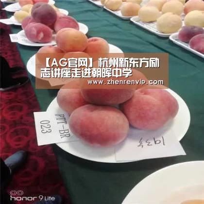 AG真人