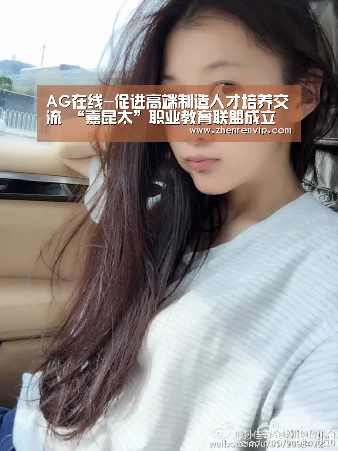 AG在线-促进高端制造人才培养交流 “嘉昆太”职业教育联盟成立(图1) AG在线