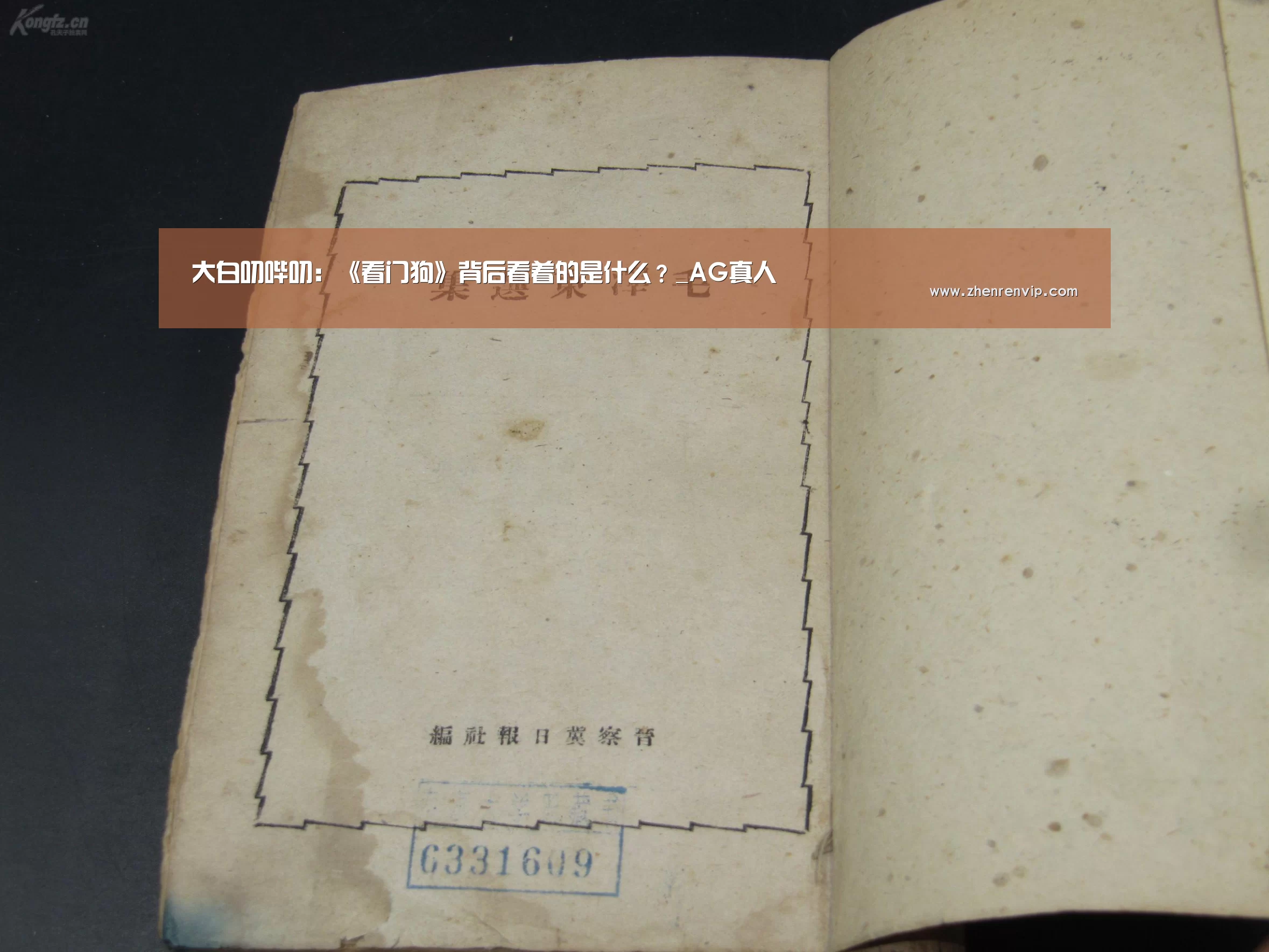 大白叨哔叨:《看门狗》背后看着的是什么?_AG真人(图1) AG真人