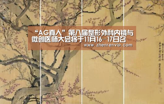 “AG真人”第八届整形外科内镜与微创医师大会将于11月16-17日召开(图1) AG官网