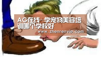 AG在线-学宠物美容培训哪个学校好(图3) AG官网