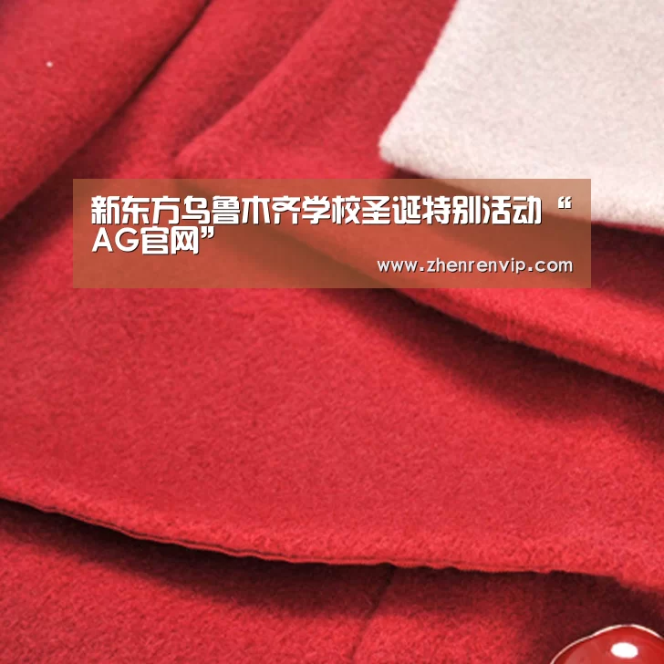 新东方乌鲁木齐学校圣诞特别活动“AG官网”(图2) AG官网