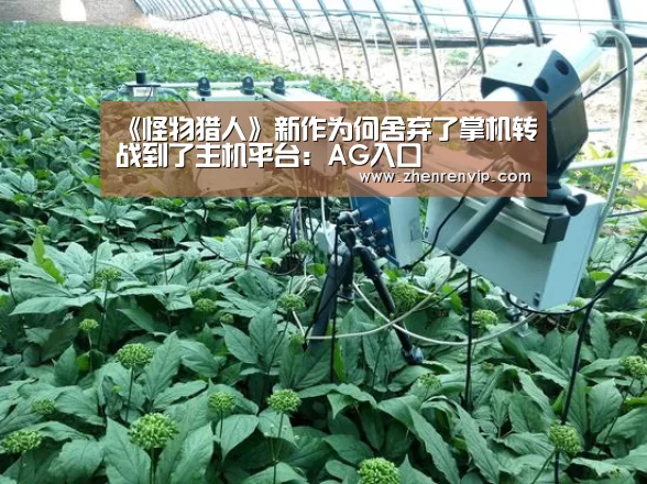 《怪物猎人》新作为何舍弃了掌机转战到了主机平台:AG入口(图2) AG在线